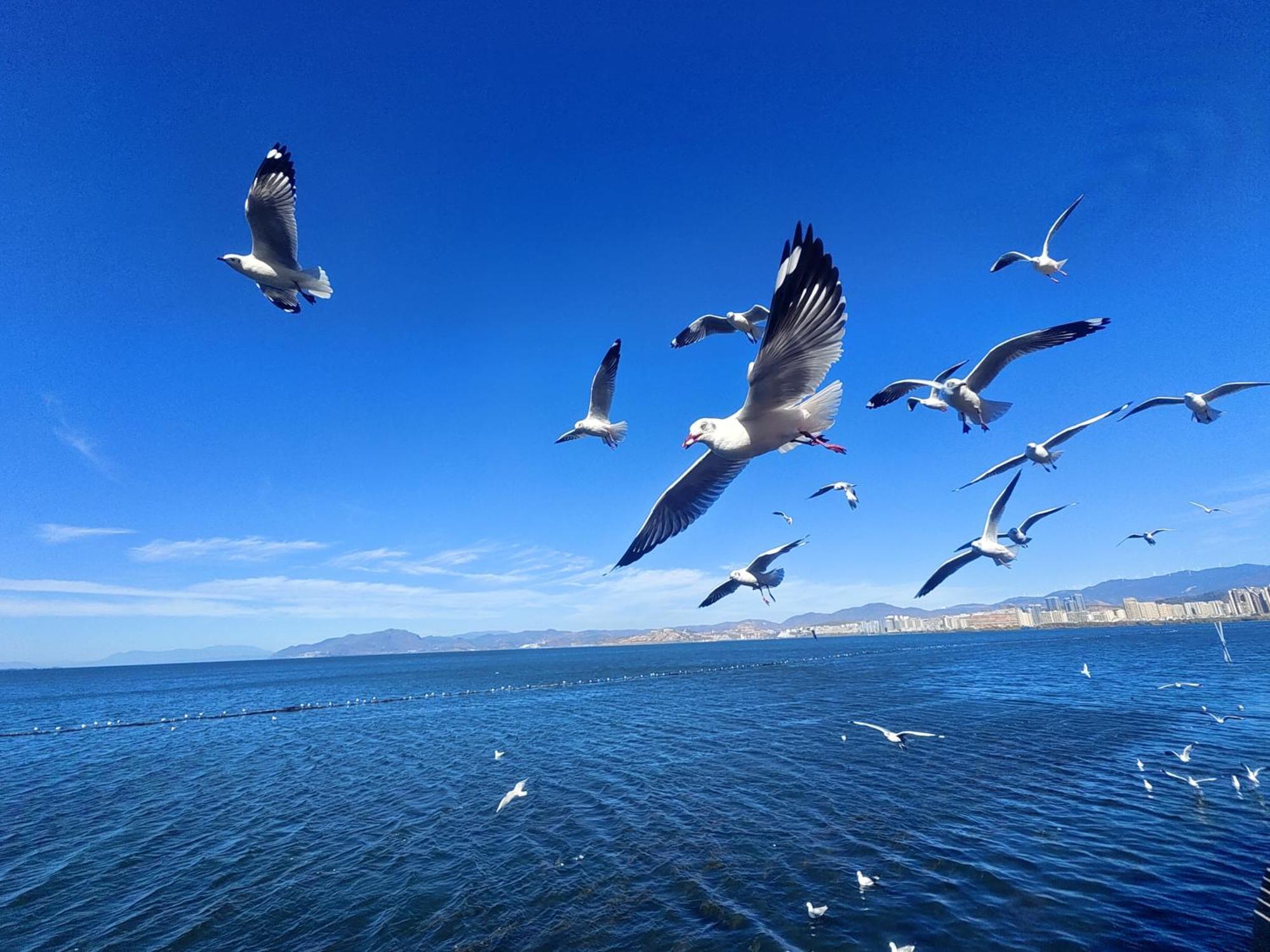 Super Invincible All Seaview Villa Dali  Dış mekan fotoğraf